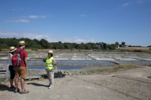 Visite de marais salants par l'association Les Amis des Sites @ Kercabellec | Mesquer | Pays de la Loire | France