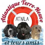 Photo de ATNLA – Atlantique Terre-Neuve et Leurs Amis Photo de ATNLA – Atlantique Terre-Neuve et Leurs Amis