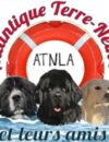 Photo de ATNLA – Atlantique Terre-Neuve et Leurs Amis Photo de ATNLA – Atlantique Terre-Neuve et Leurs Amis