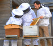 Photo de FERME DE KERHUÉ Photo de FERME DE KERHUÉ