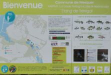 Photo de PECHE – AAPPMA 44 – La Gaule herbignacaise et asséracaise Photo de PECHE – AAPPMA 44 – La Gaule herbignacaise et asséracaise