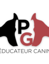 Photo de PG Éducateur canin Photo de PG Éducateur canin