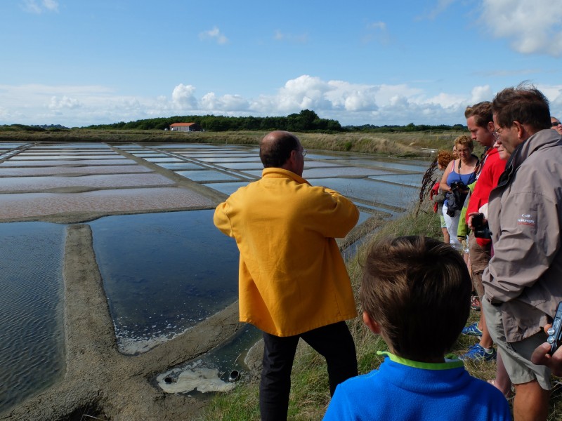 visite-de-saline-avec-nicolas-arnould-a-rostu-mesquer