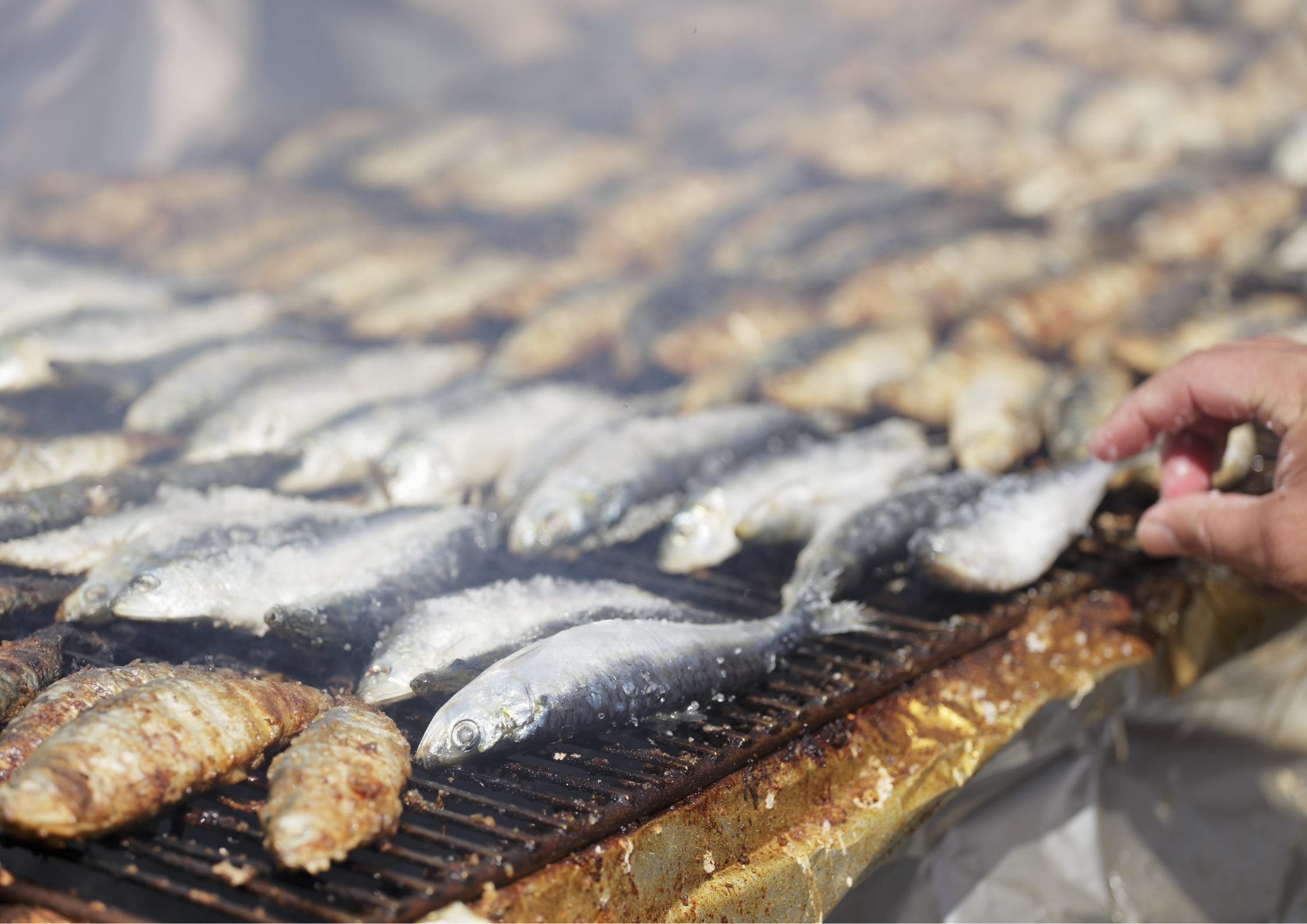 2024-07-27 fete de la sardine credit getty image