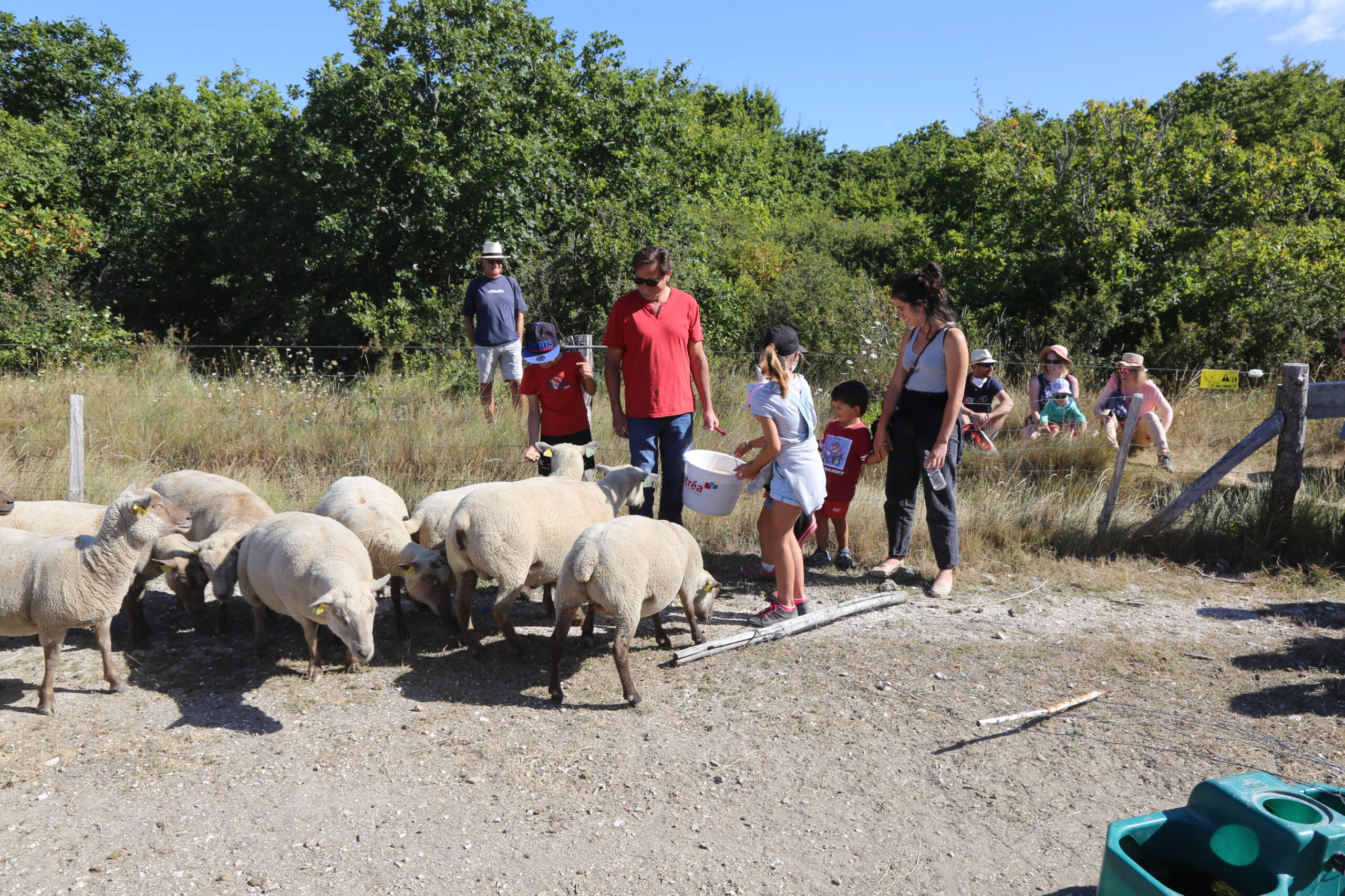 2024-08-05 visite elevage moutons credit amis des sites