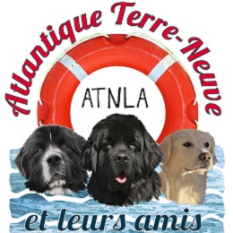 ATNLA-logo.jpg