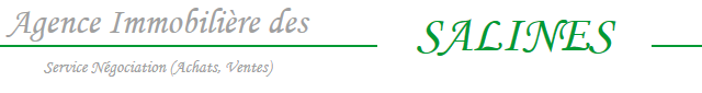 Agence-des-salines.png