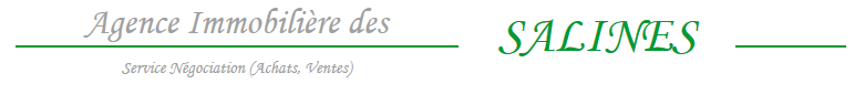 Agence-des-salines.png