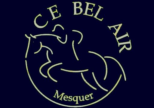 BEL-AIR.jpg