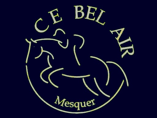 BEL-AIR.jpg