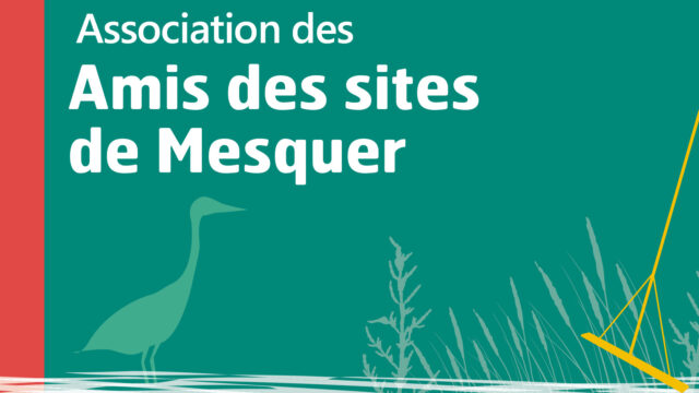 Logo Amis des sites