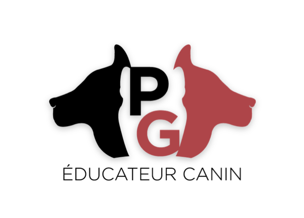 PG-educ-canine.png